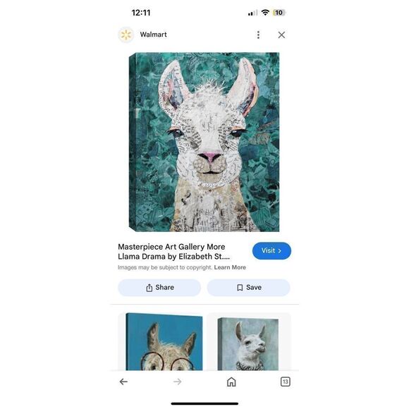 Fun El Paca Canvas - Picture 3 of 3